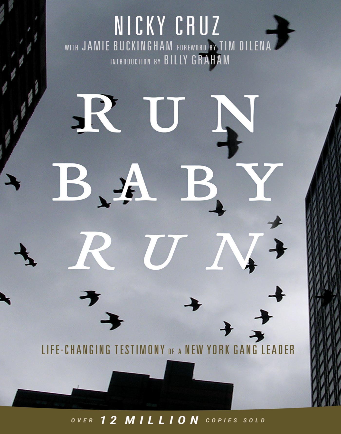 Run Baby Run By Cruz Nicky Ebook