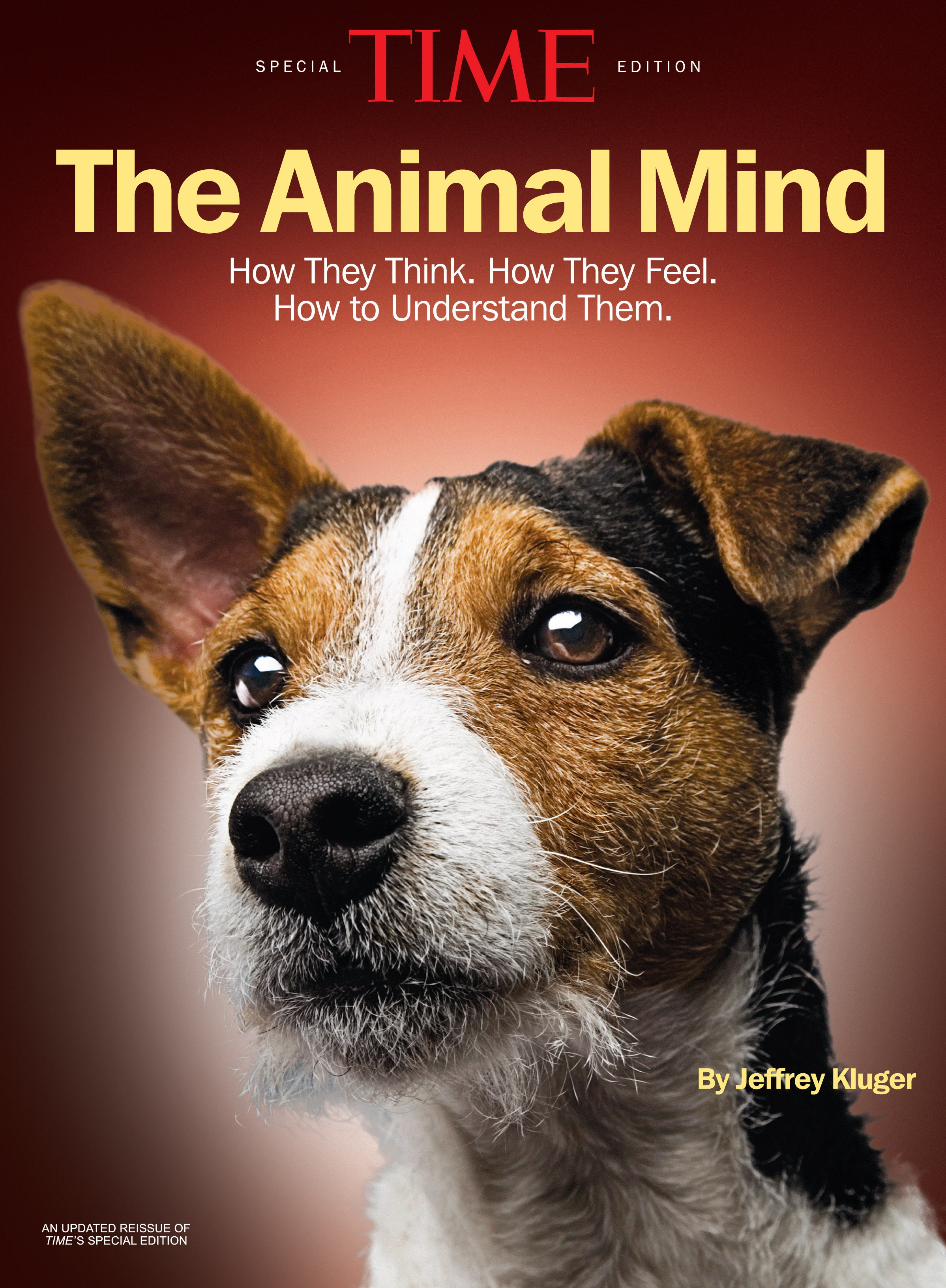 Tame animals. The philosophy of animal minds. интеллект животных. Intelligent песни. Animal mind.