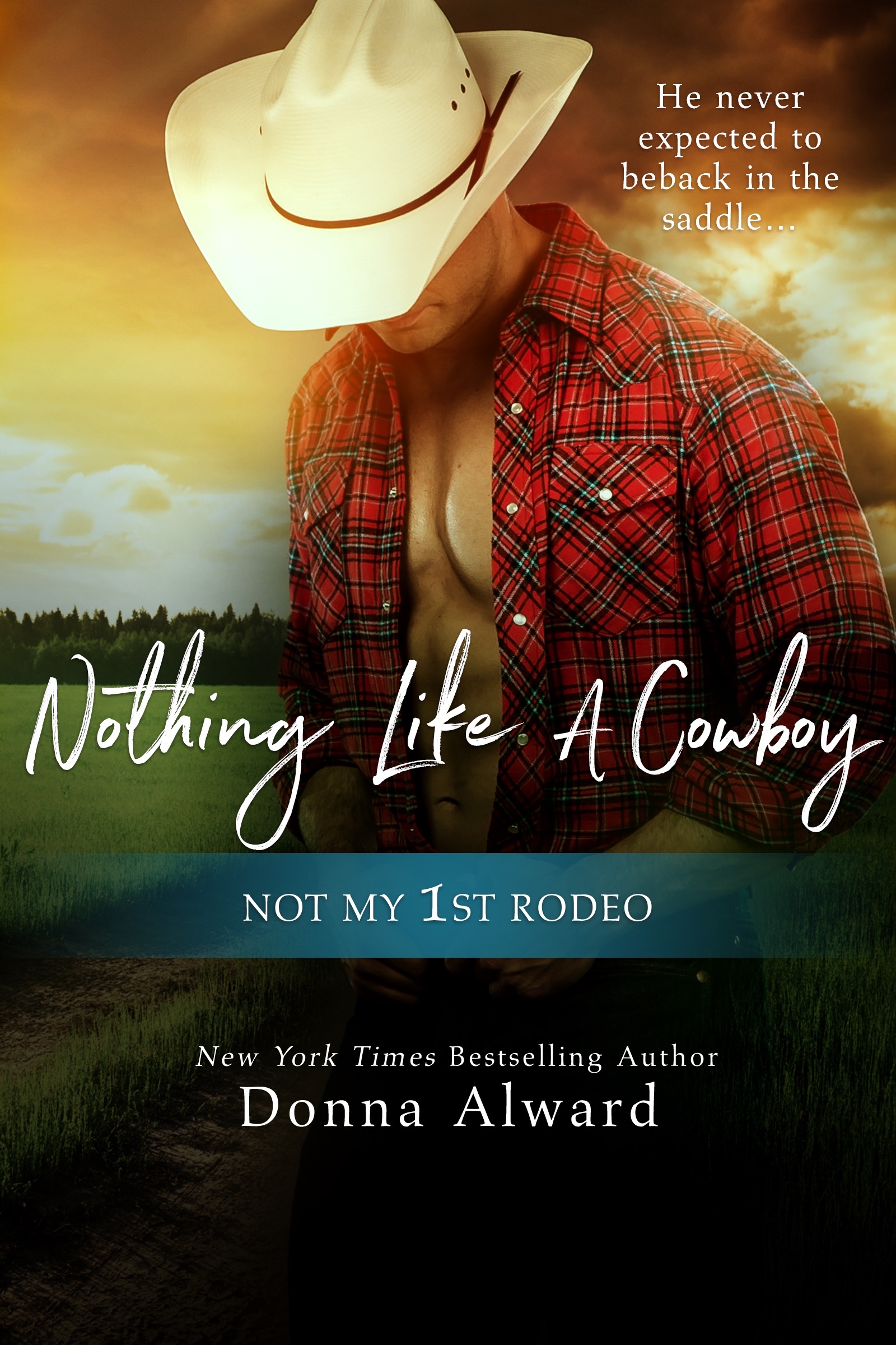 Nothing Like a Cowboy