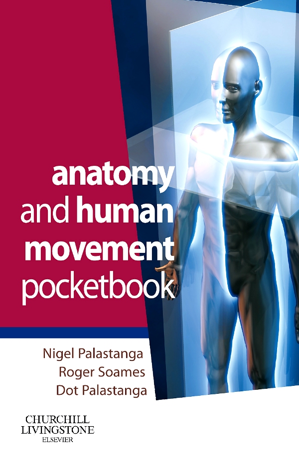 Human movement. Pediatric Neurosurgery Churchill Livingstone London 1999.