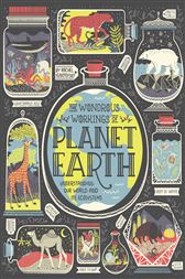 The Wondrous Workings of Planet Earth by Ignotofsky, Rachel (ebook)