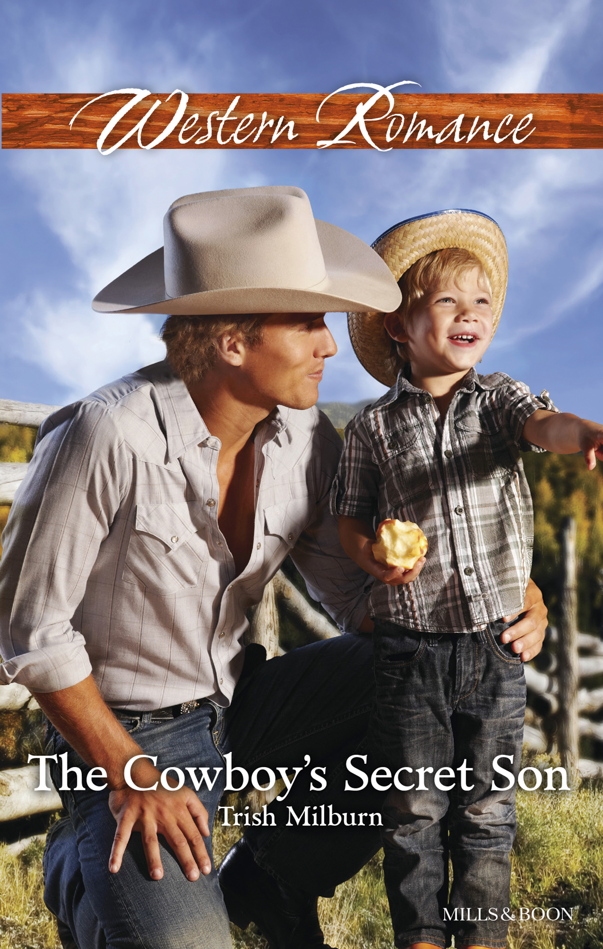 The Cowboy's Secret Son