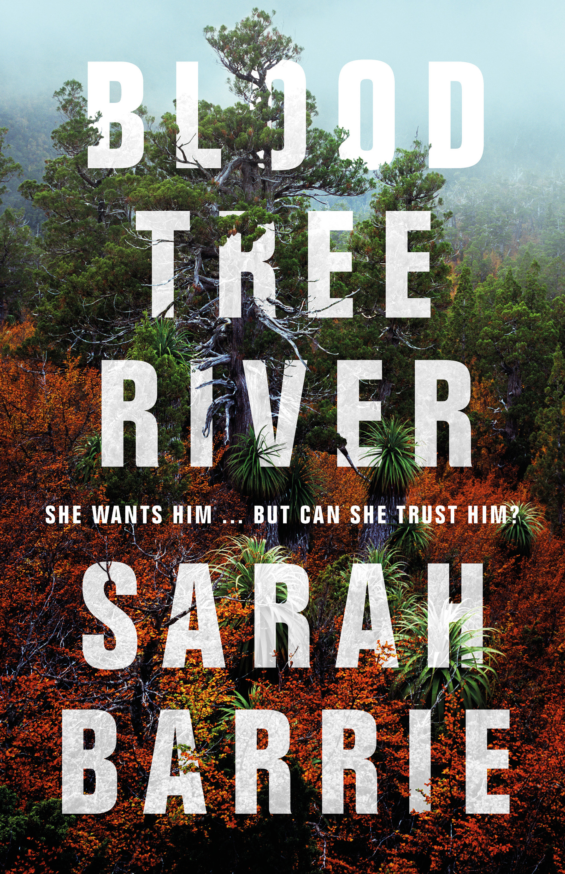 Bloodtree River