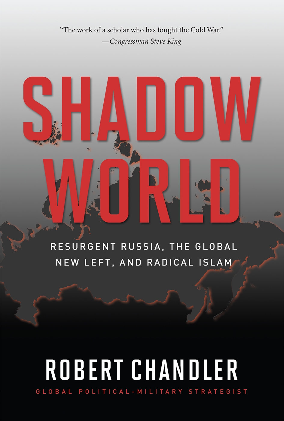 New left. Robert Chandler. Russia resurgent Постер. New World Shadows.