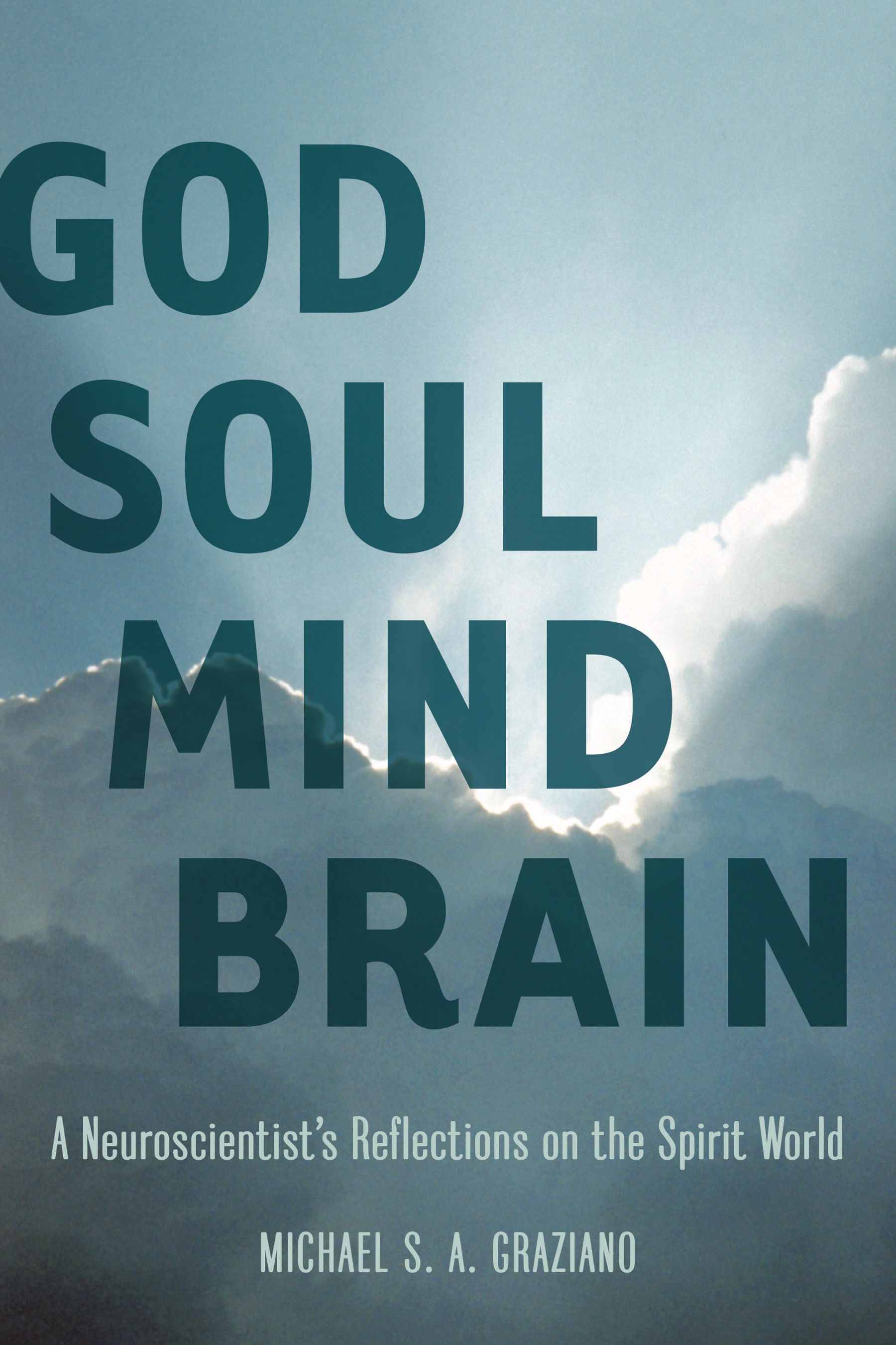 Брейн читать. Mind Soul. Michael Graziano. God Souls.