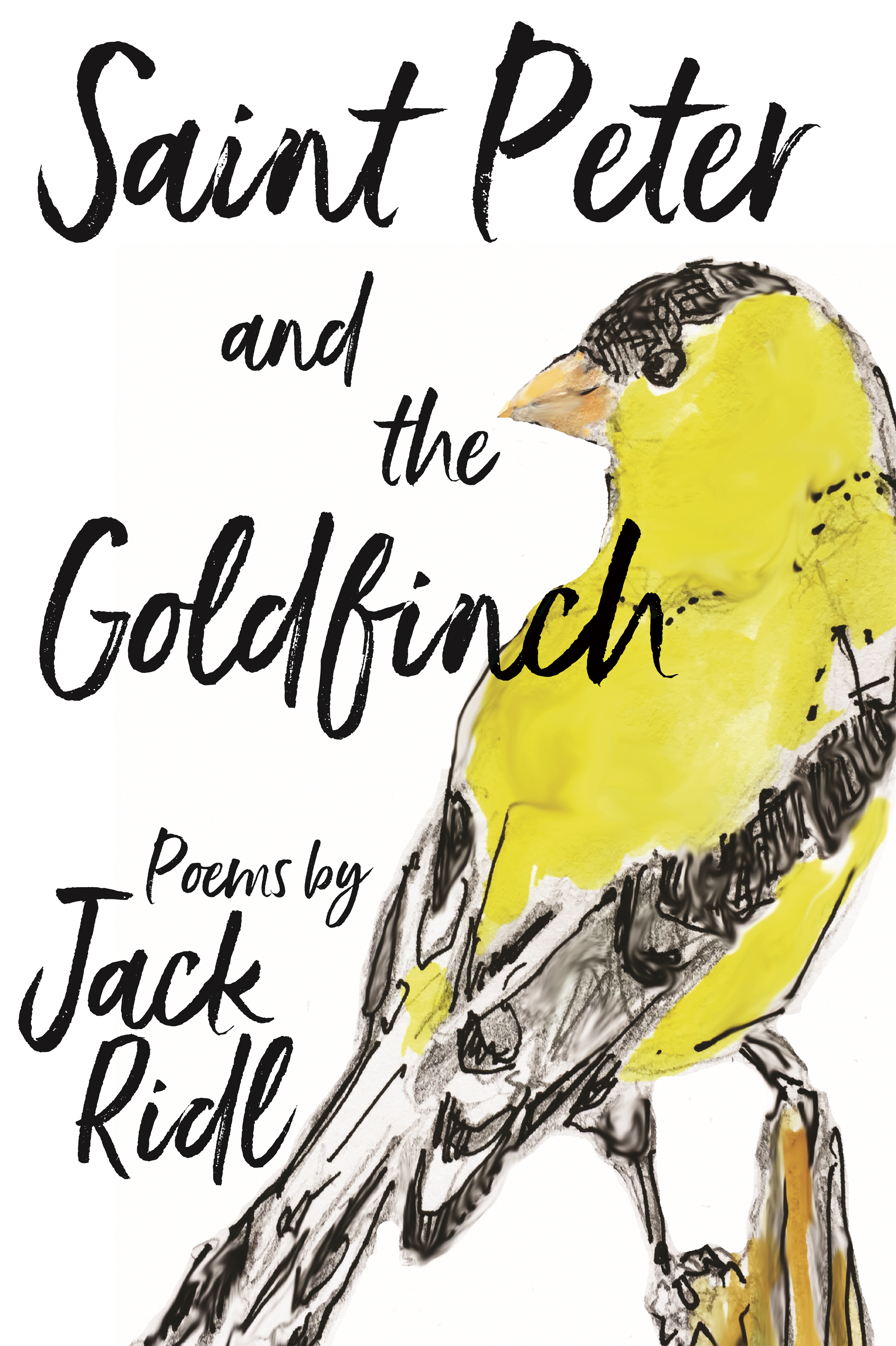 Saint Peter and the Goldfinch - 15-24.99