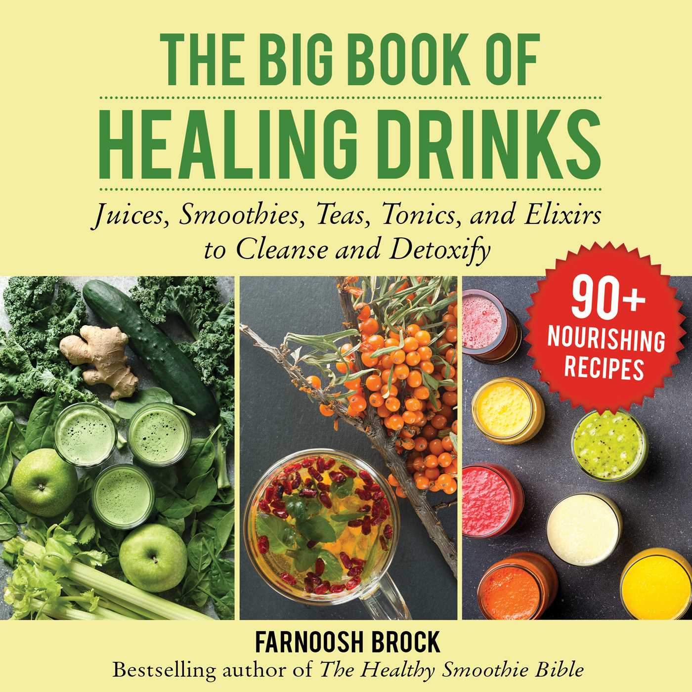 The Big Book of Healing Drinks