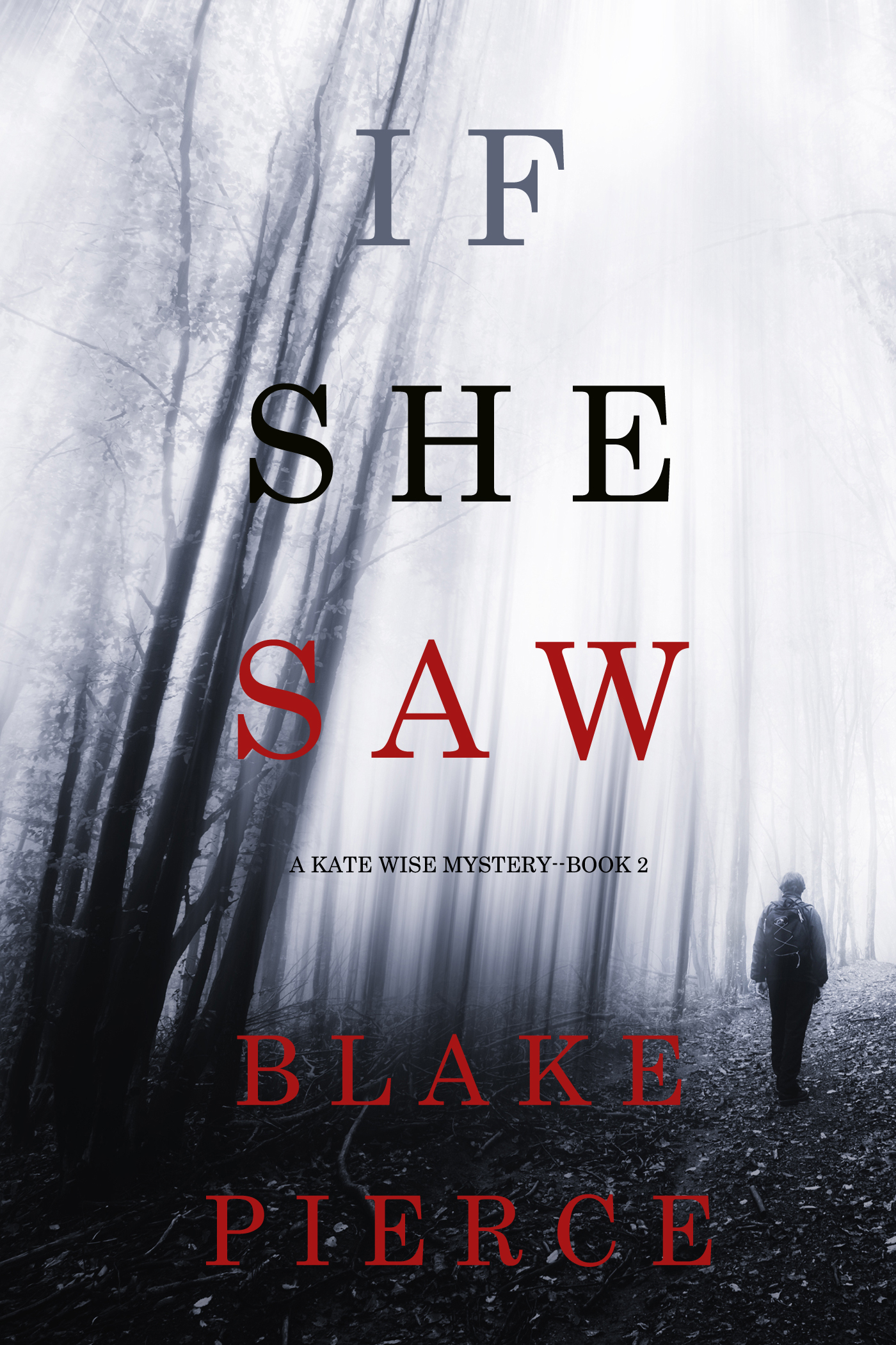 If She Saw (A Kate Wise Mystery—Book 2)