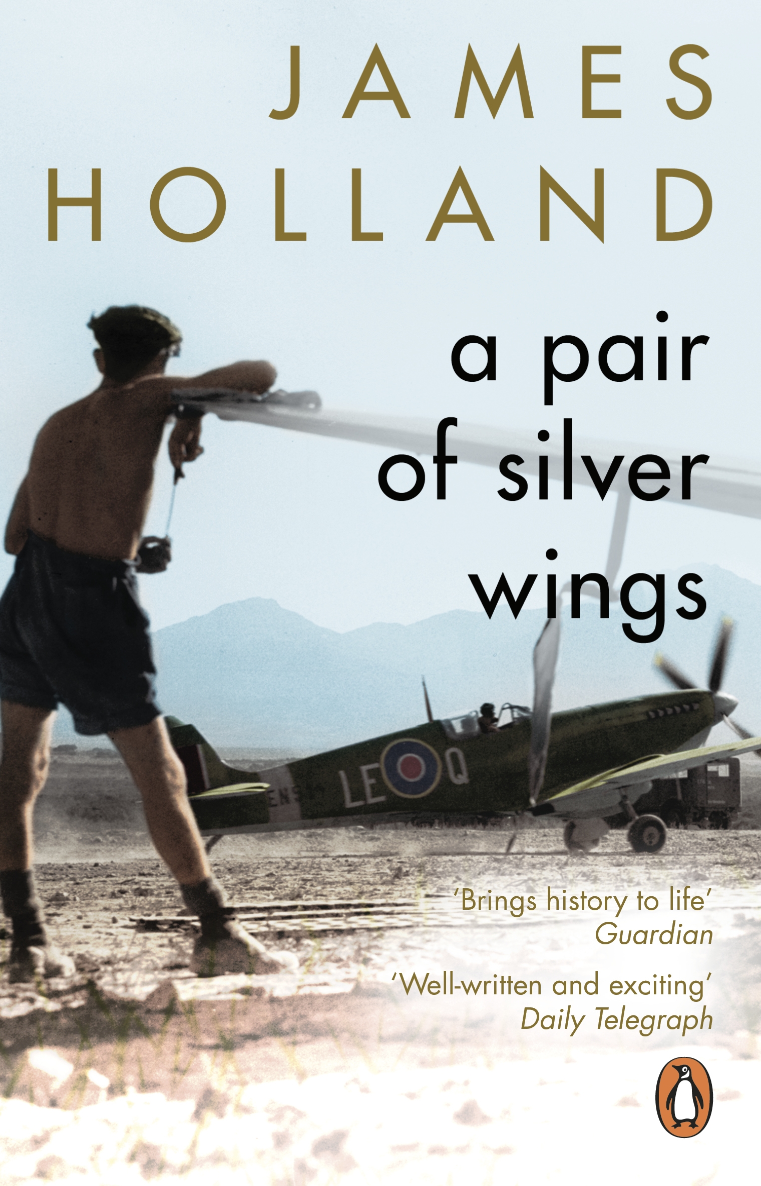 A Pair Of Silver Wings