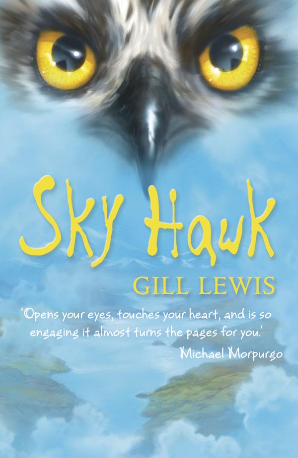 Sky Hawk