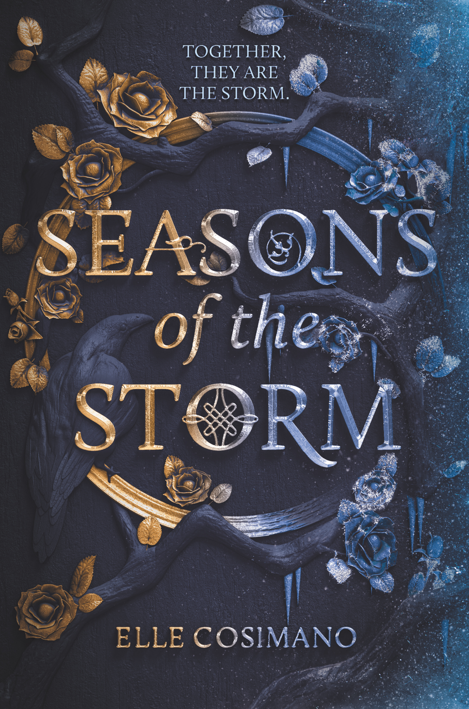 Seasons Of The Storm