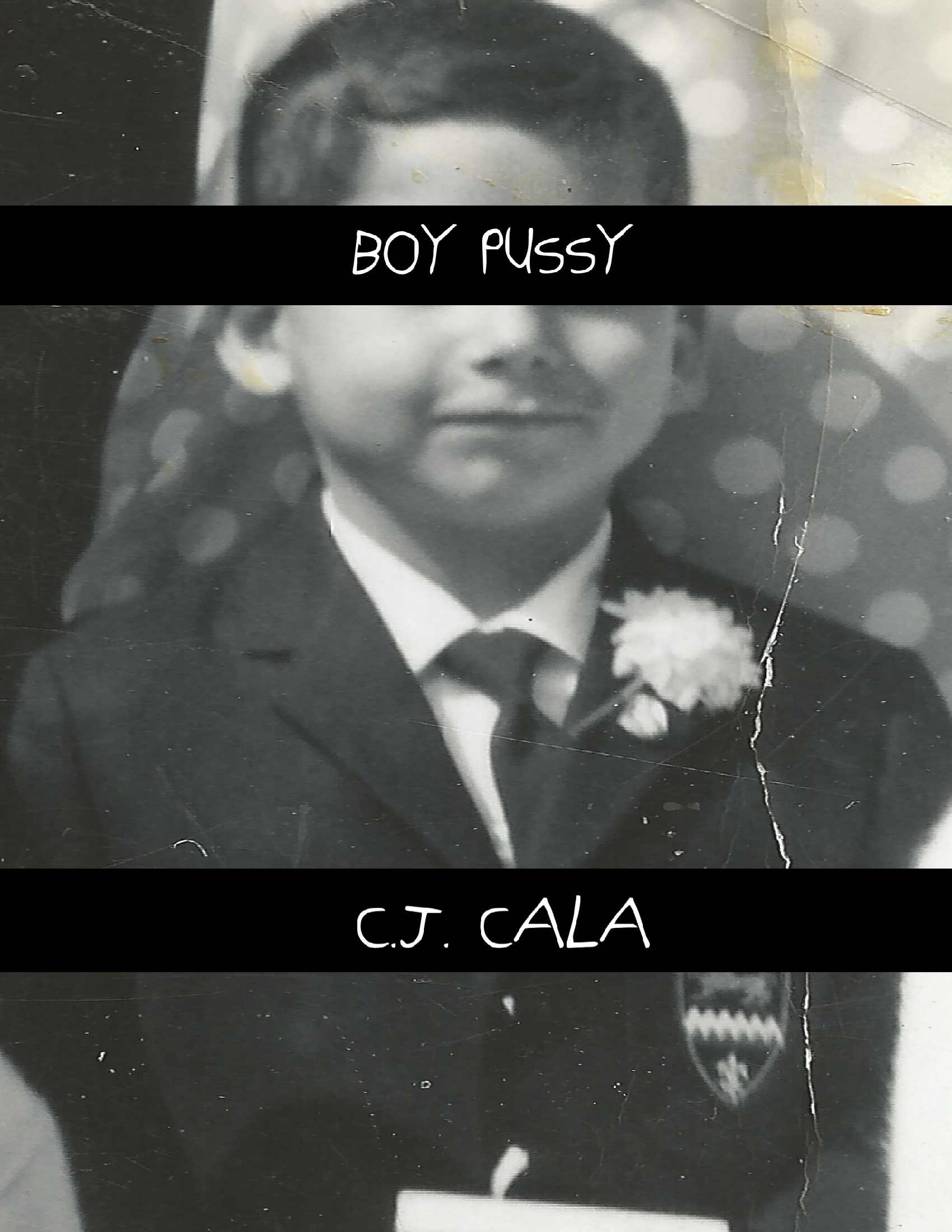 Boy Pussy Ebook : Cala, C.j.