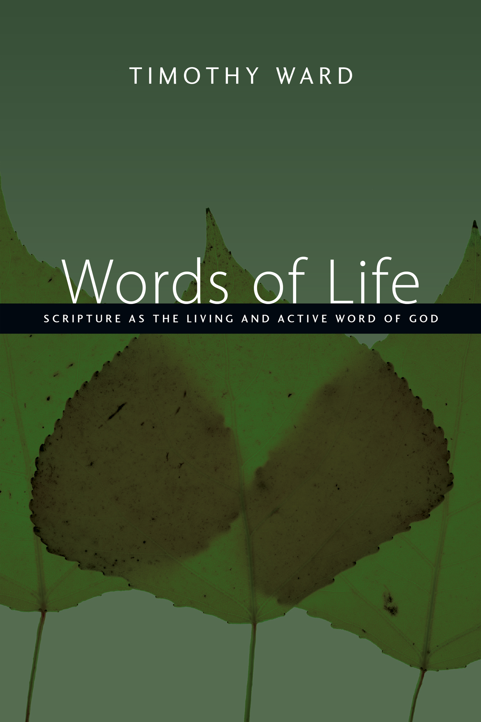 Words of Life - 15-24.99