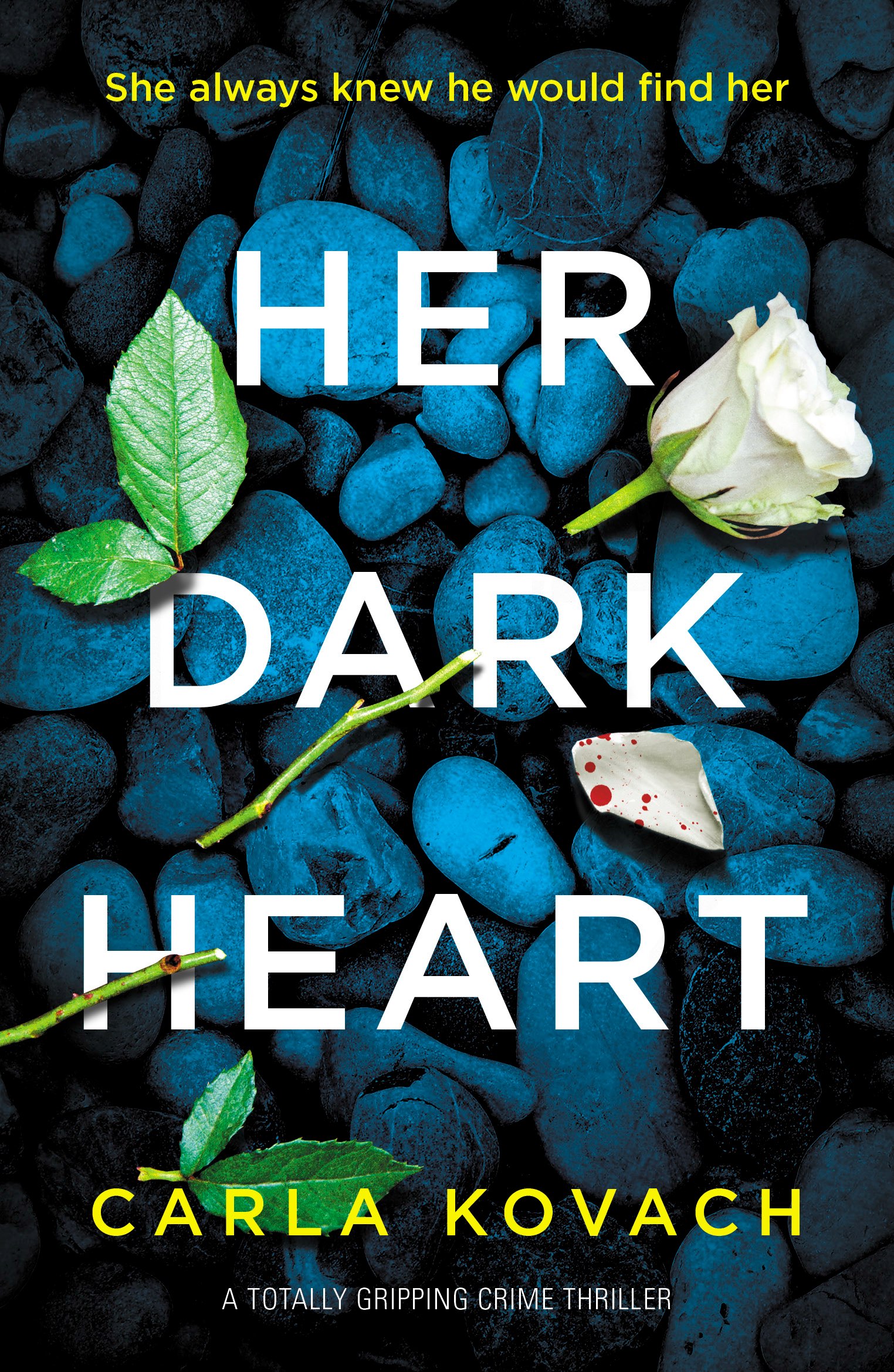 Her Dark Heart