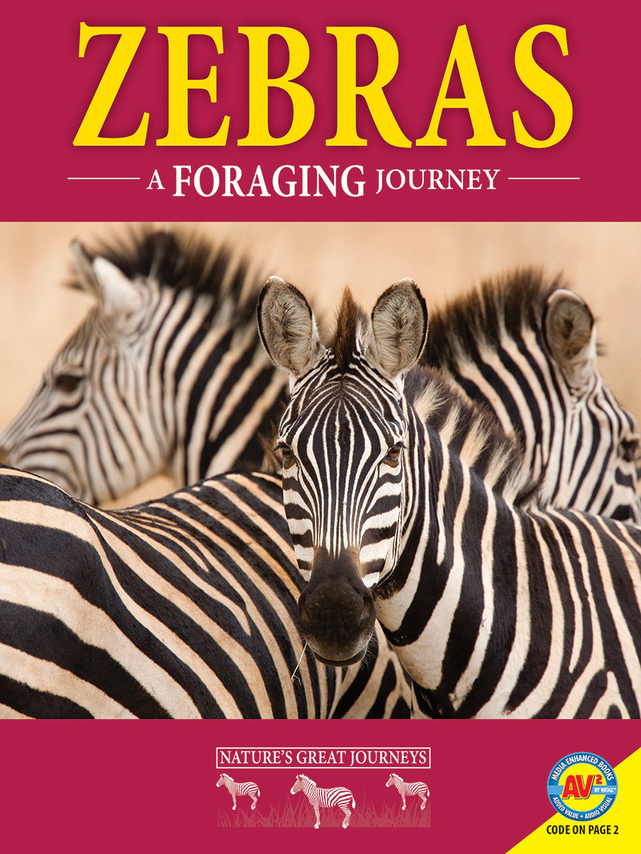 Zebras