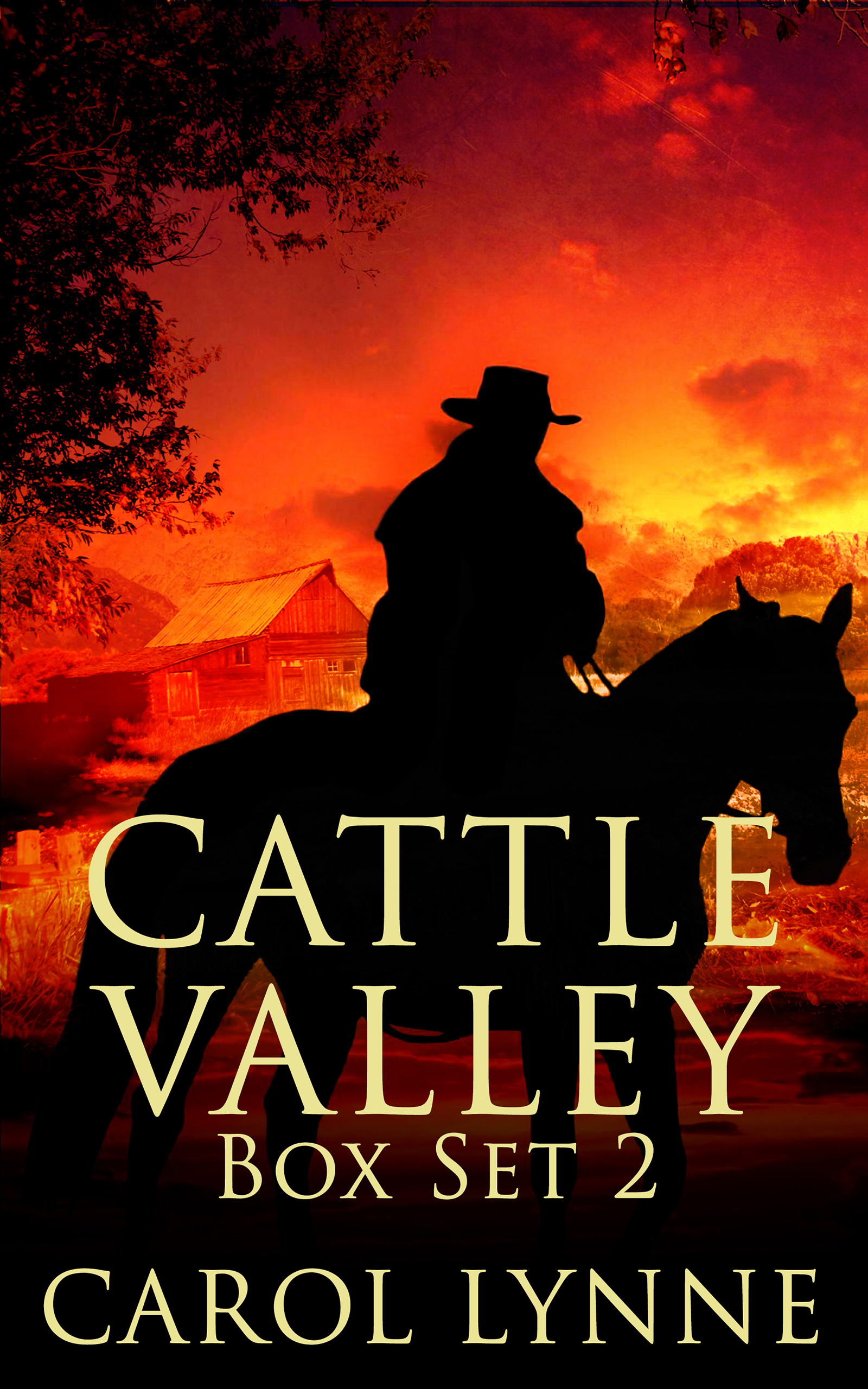 Cattle Valley Box Set 2