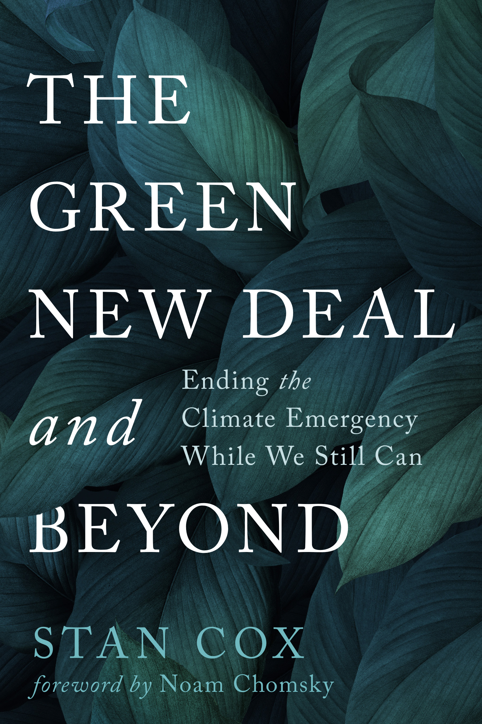 The Green New Deal and Beyond