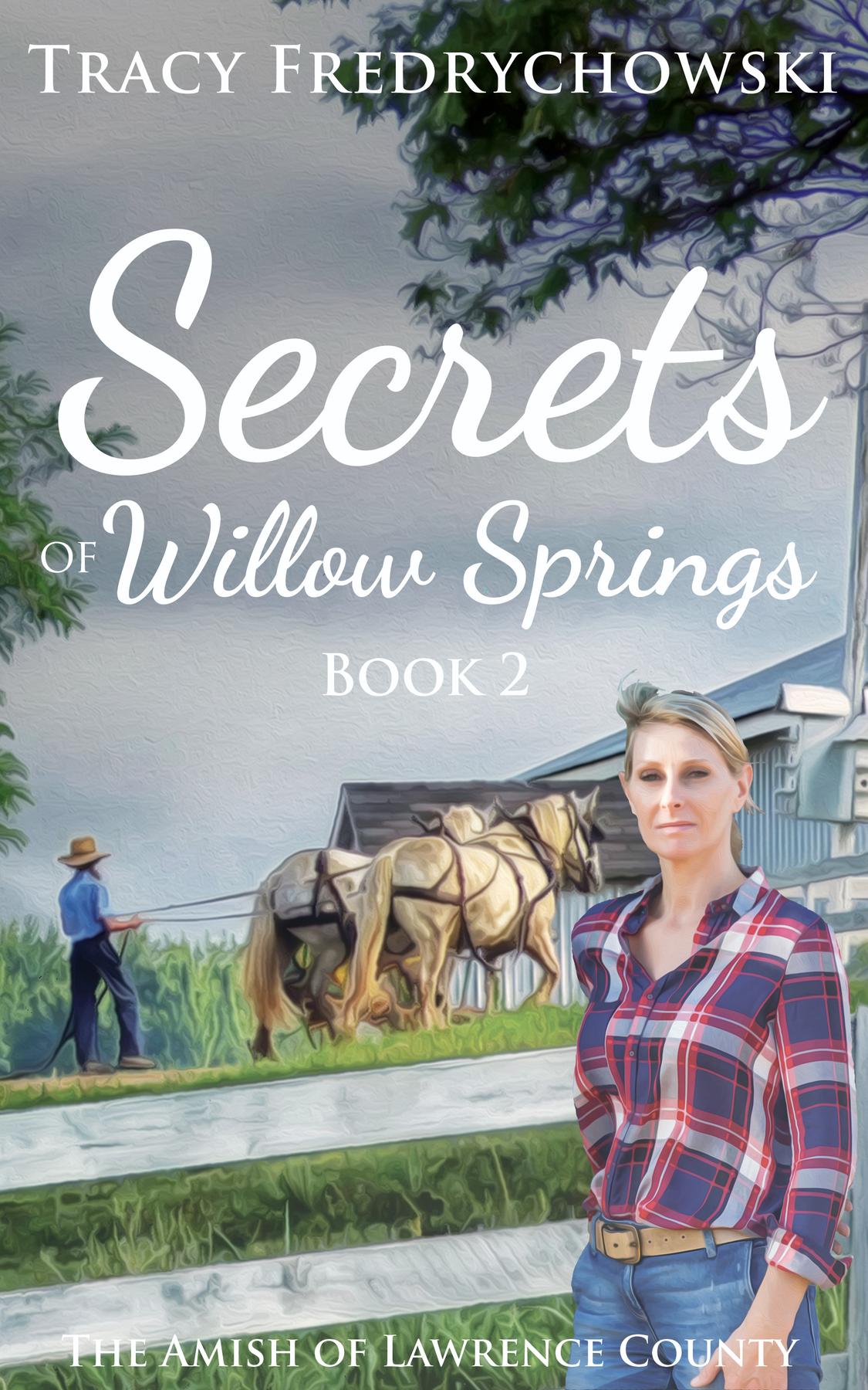 Secrets of Willow Springs - Book 2