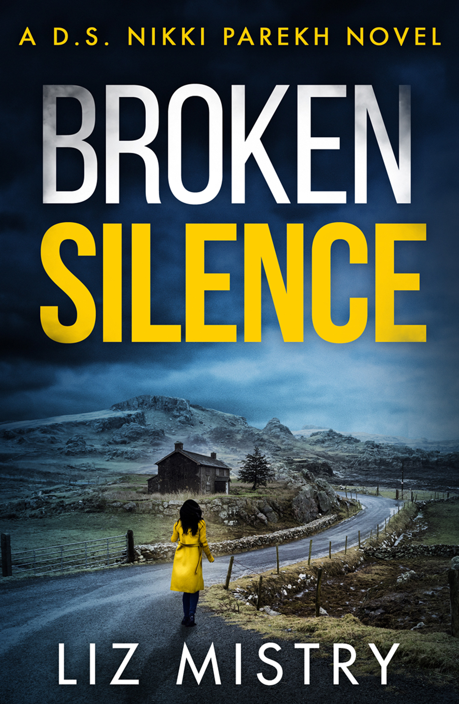Broken Silence (DS Nikki Parekh, Book 2)