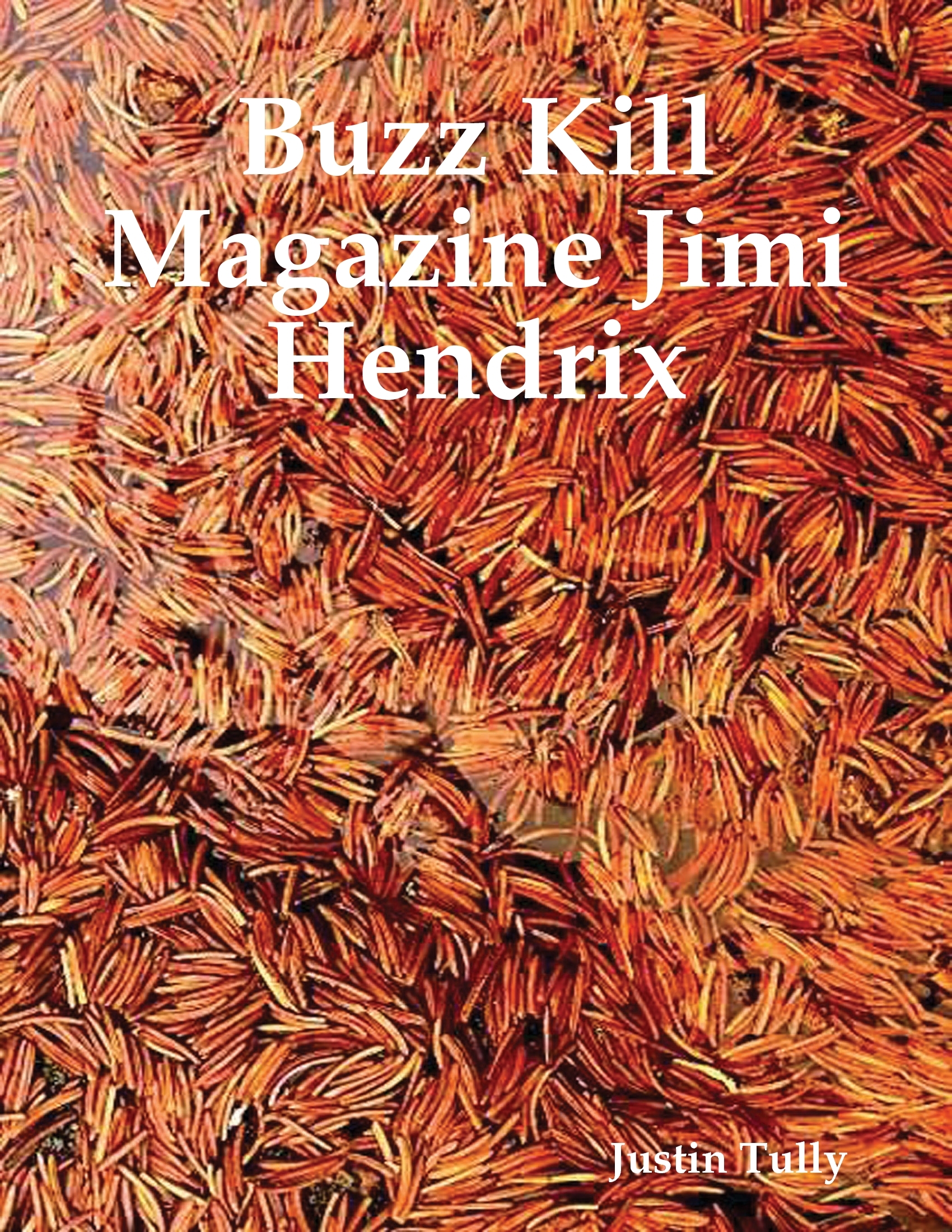 Buzz Kill Magazine Jimi Hendrix