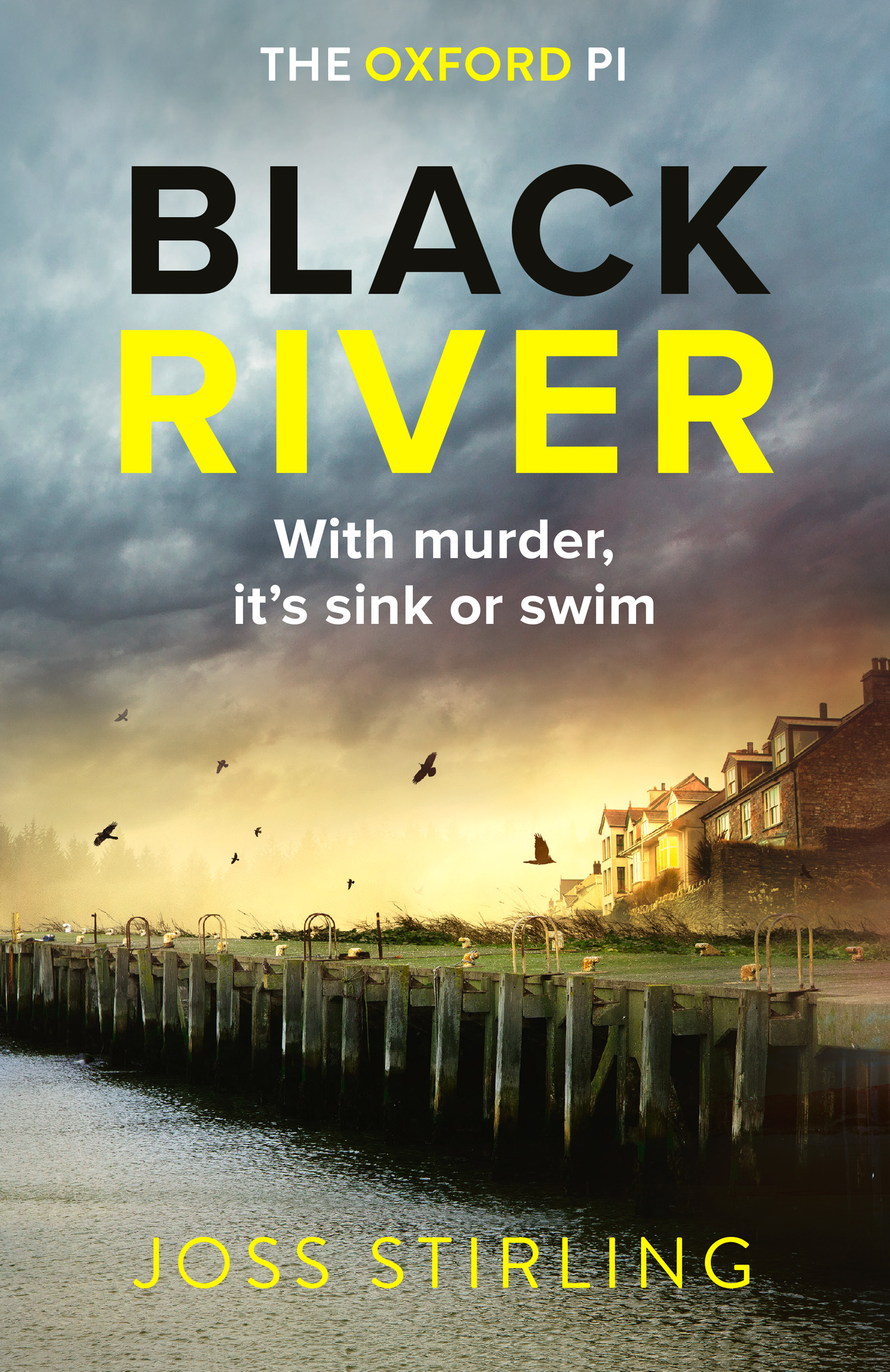 Black River (A Jess Bridges Mystery, Book 1)