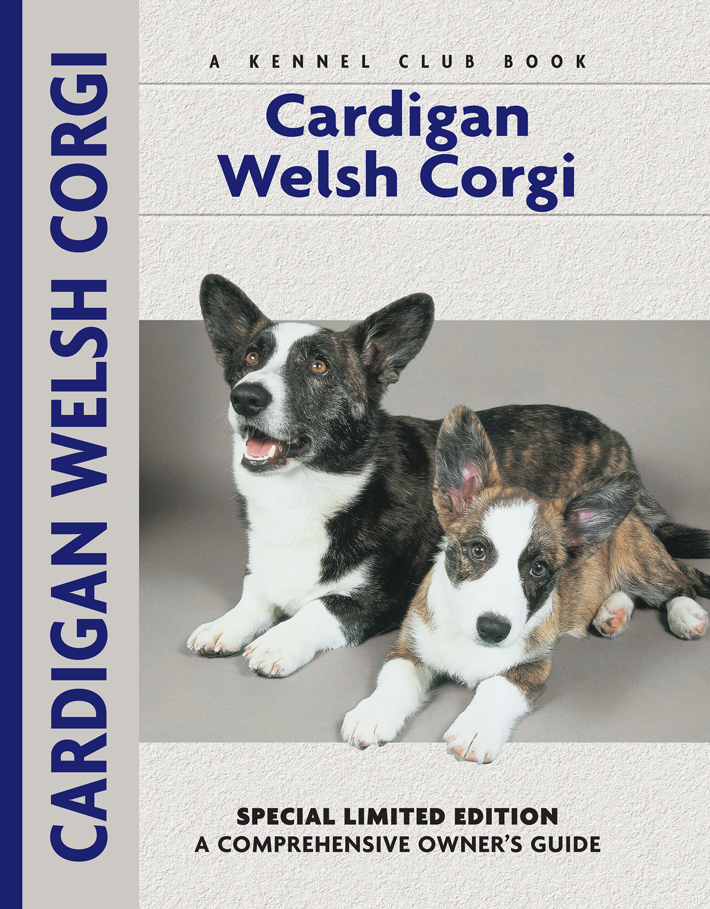 Cardigan Welsh Corgi - 15-24.99