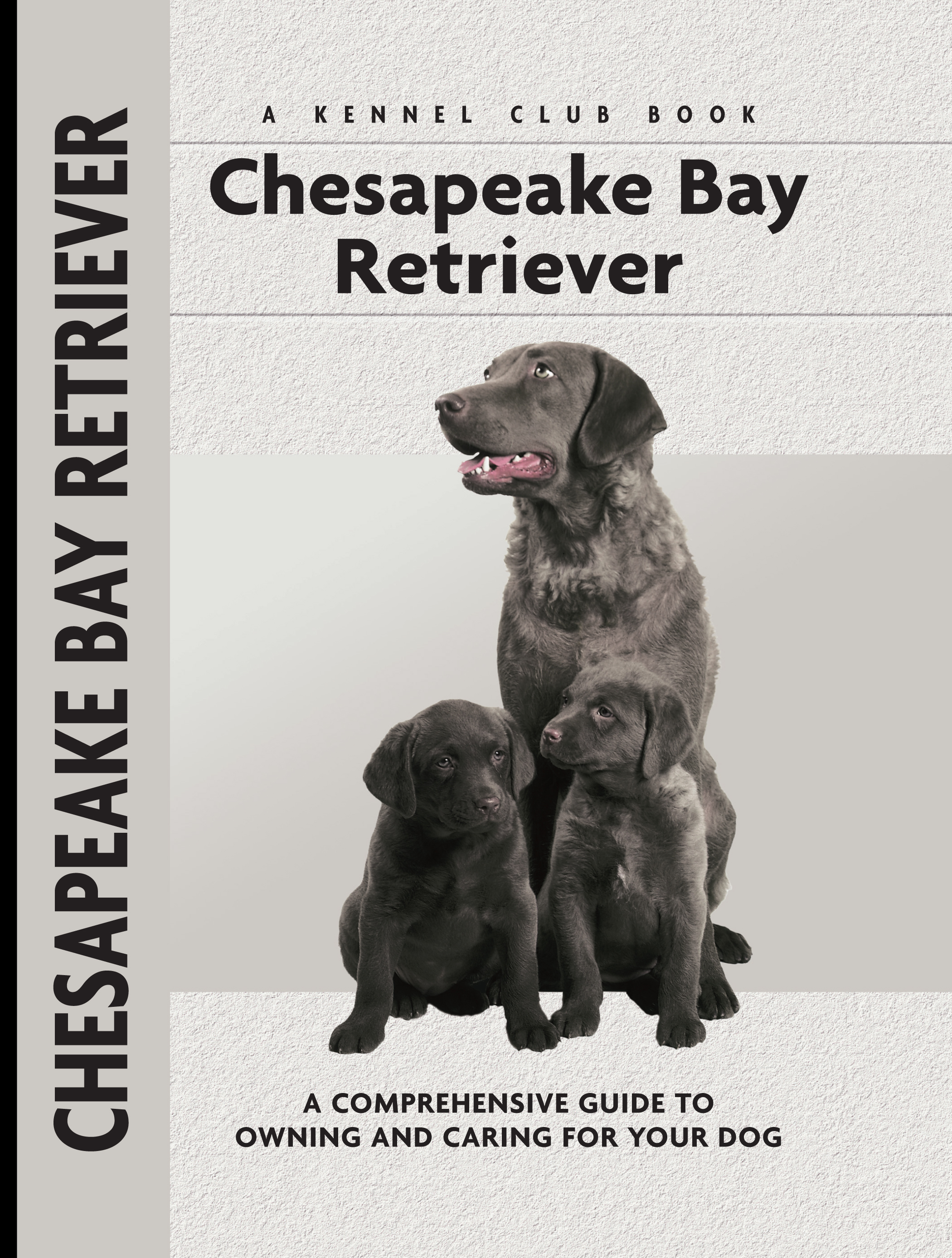Chesapeake Bay Retriever - 10-14.99