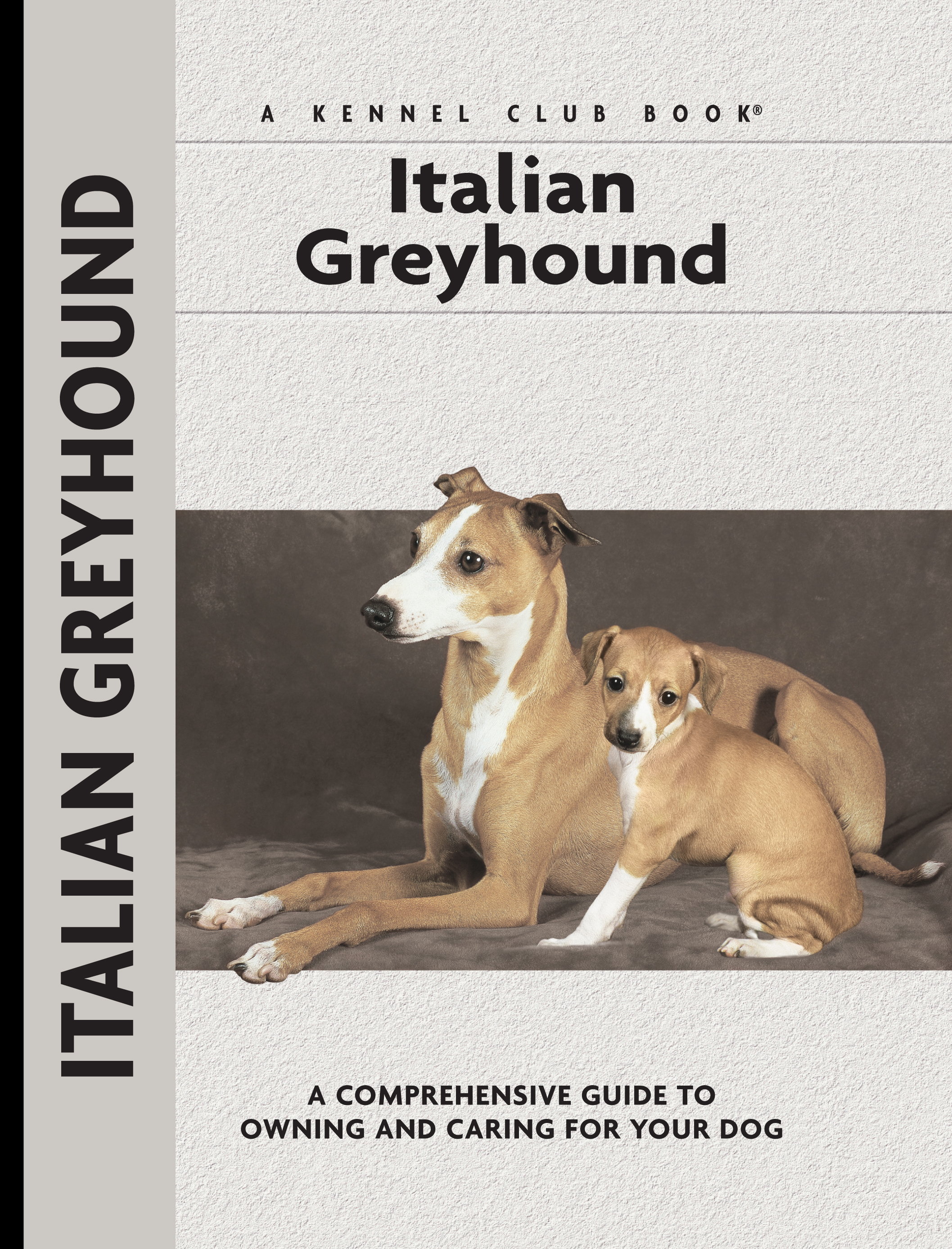 Italian Greyhound - 10-14.99