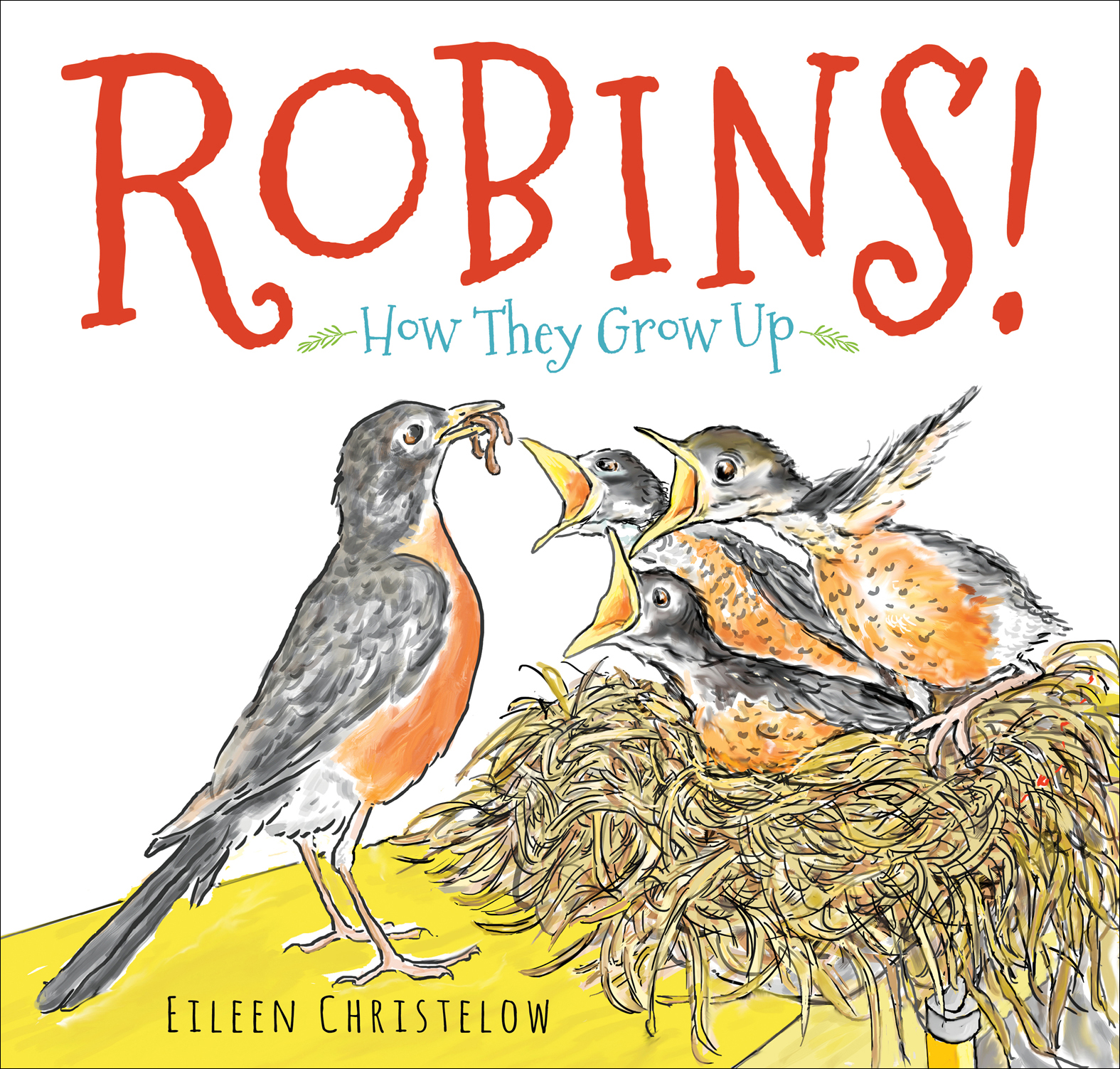 Robins!