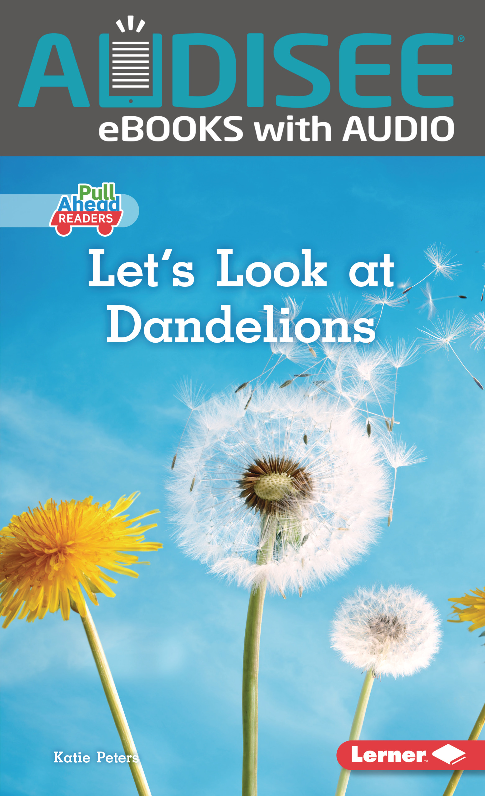 Let's Look at Dandelions
