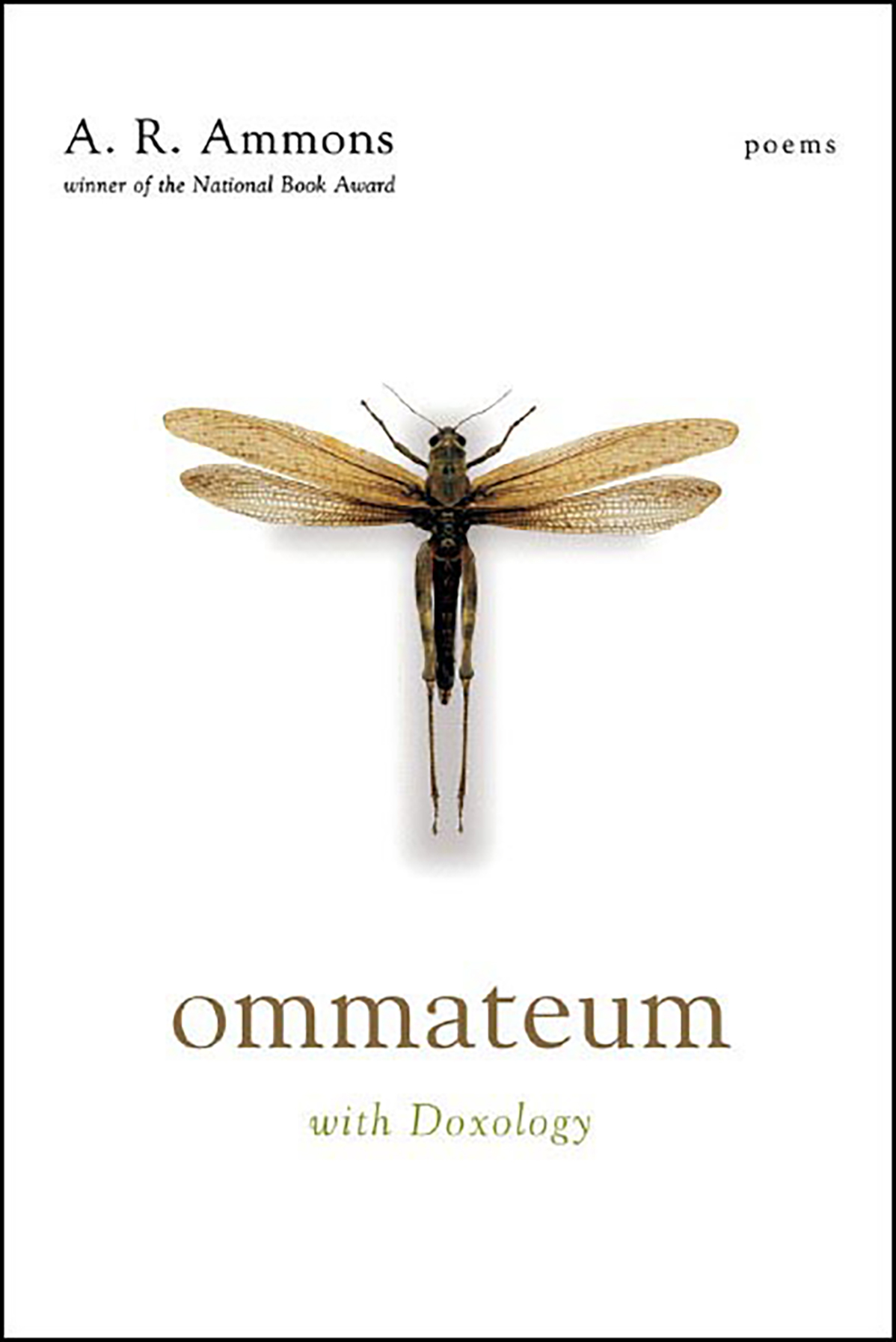 Ommateum