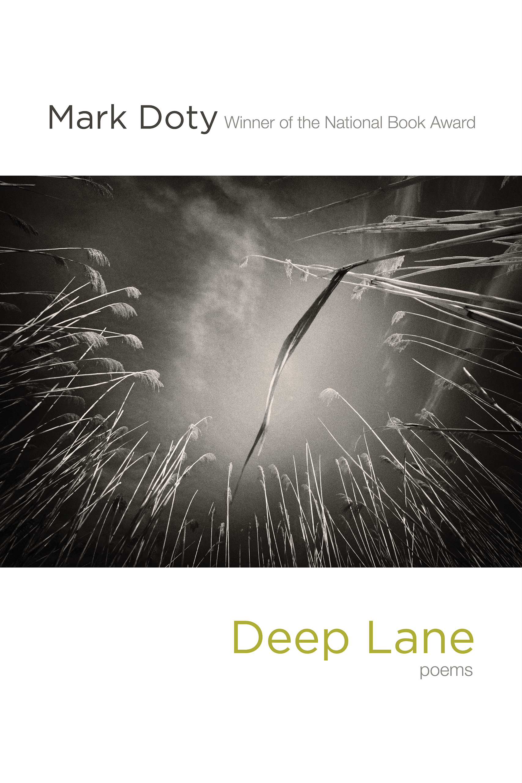 Deep Lane