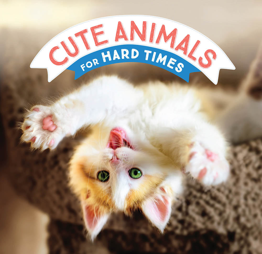 Cute Animals for Hard Times