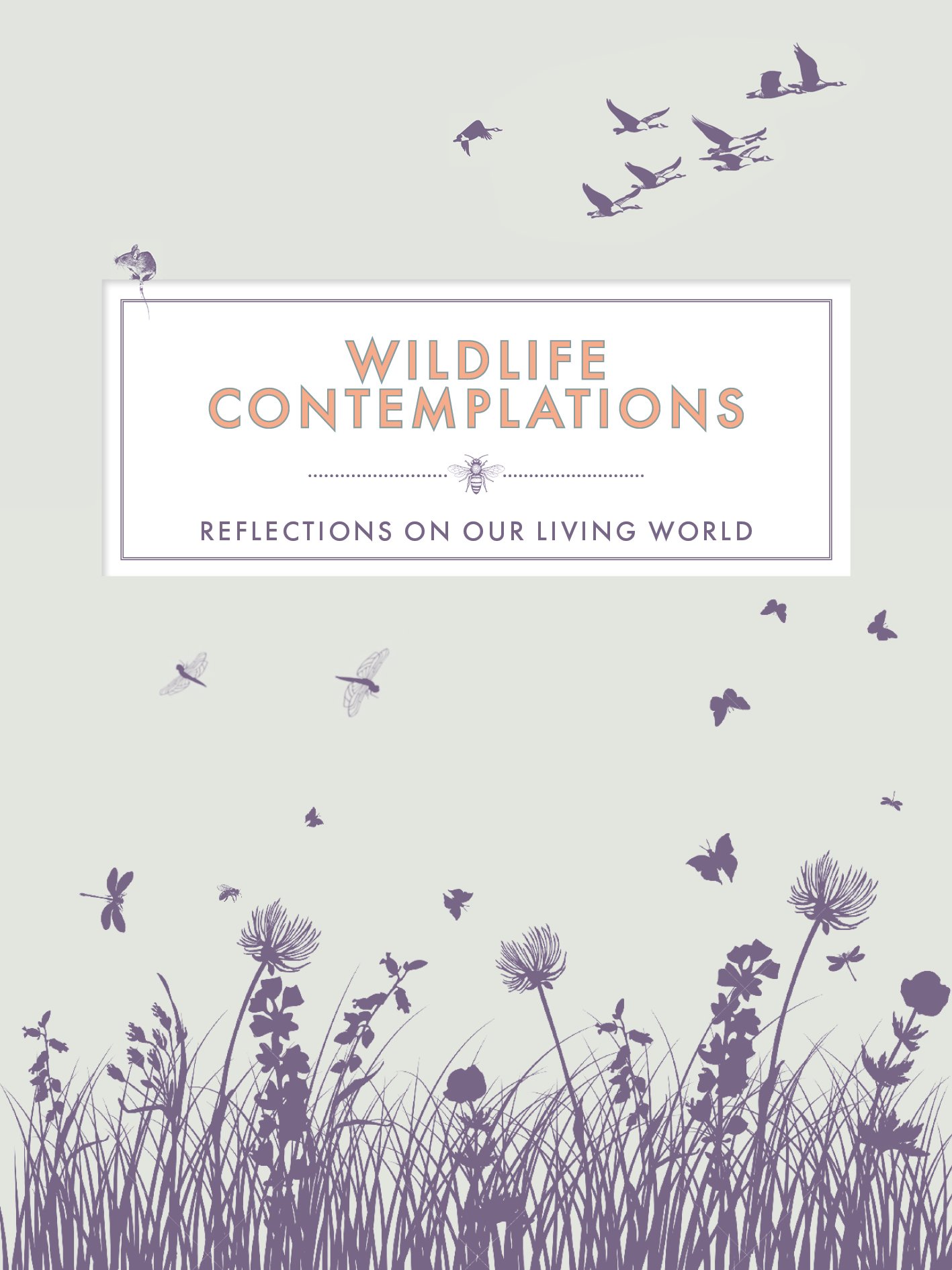 Wildlife Contemplations