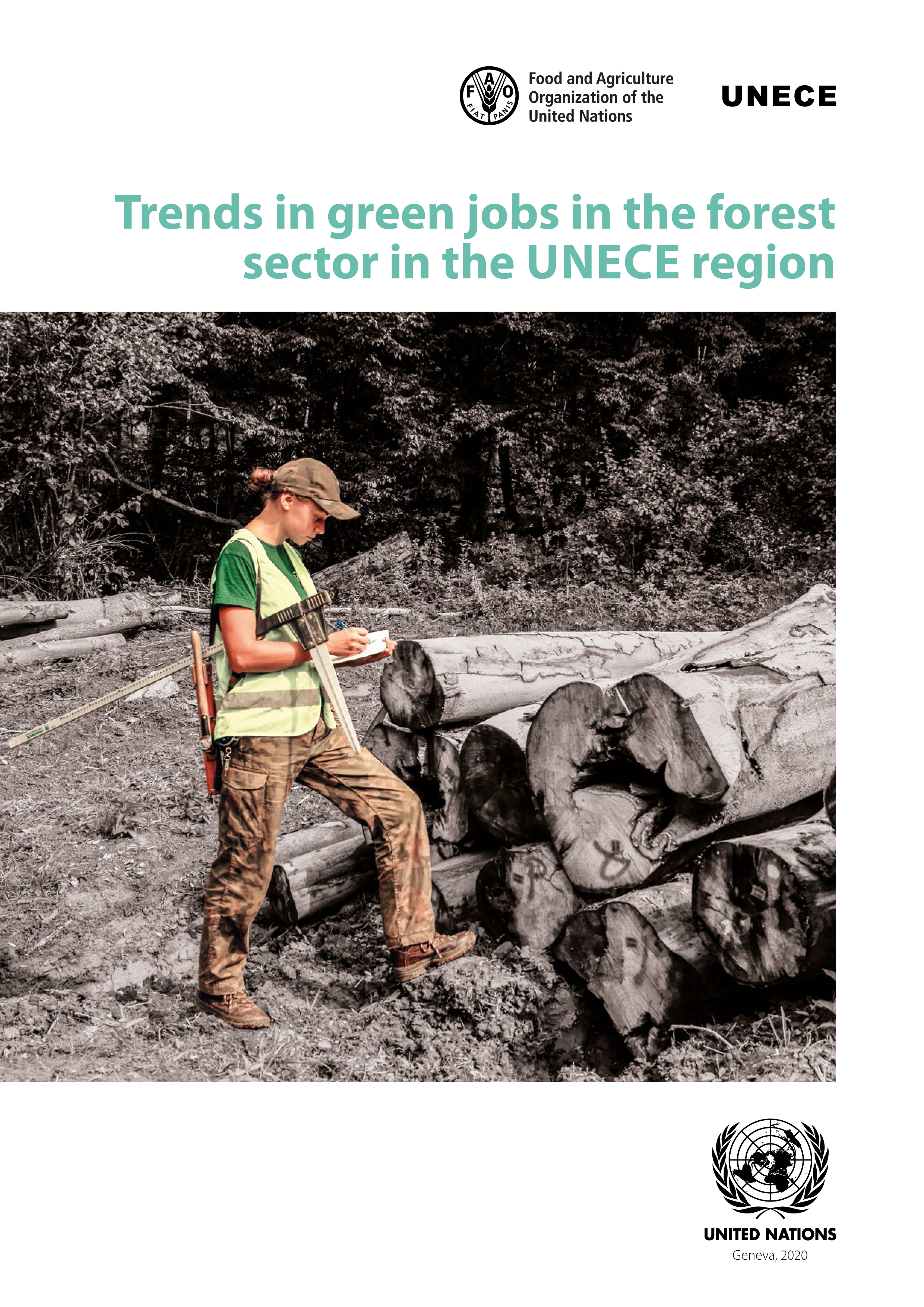 Trends in Green Jobs in the Forest Sector in the UNECE Region