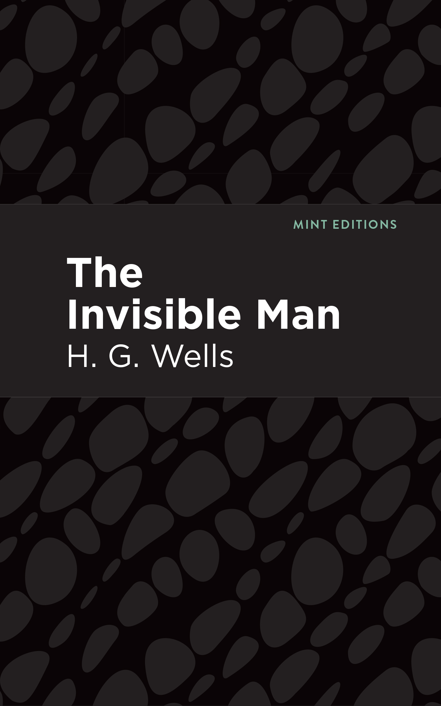 The Invisble Man