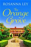 The Orange Grove: a mouth-watering holiday romance set in sunny Seville