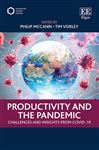 Productivity and the Pandemic: Challenges and Insights from Covid-19