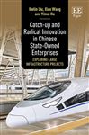 Catch-up and Radical Innovation in Chinese State-Owned Enterprises: Exploring Large Infrastructure Projects