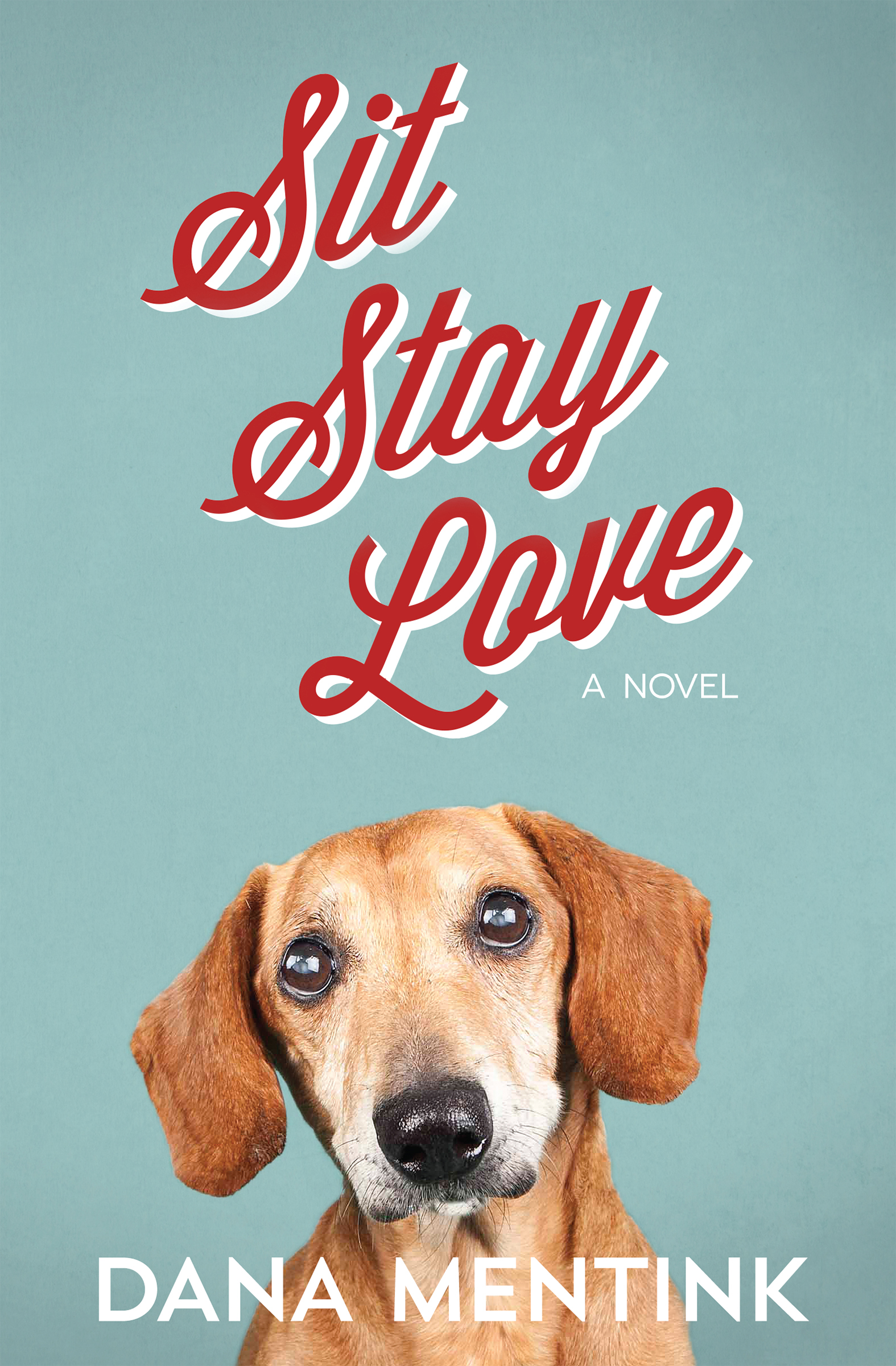 Sit, Stay, Love (Love Unleashed Series #1) Dana Mentink Author