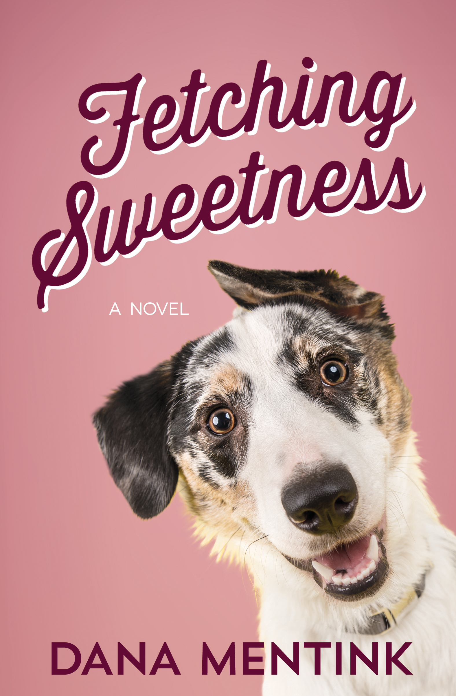Fetching Sweetness (Love Unleashed Series #2) Dana Mentink Author