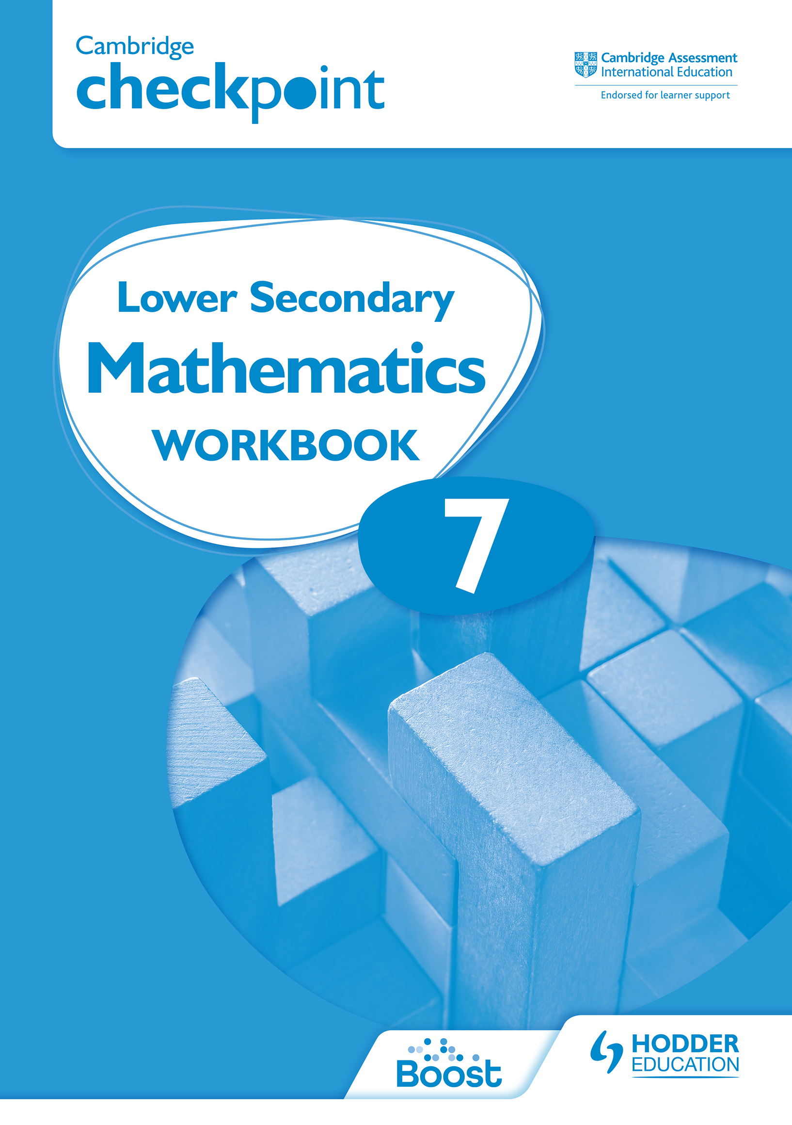 hodder education workbook answers maths