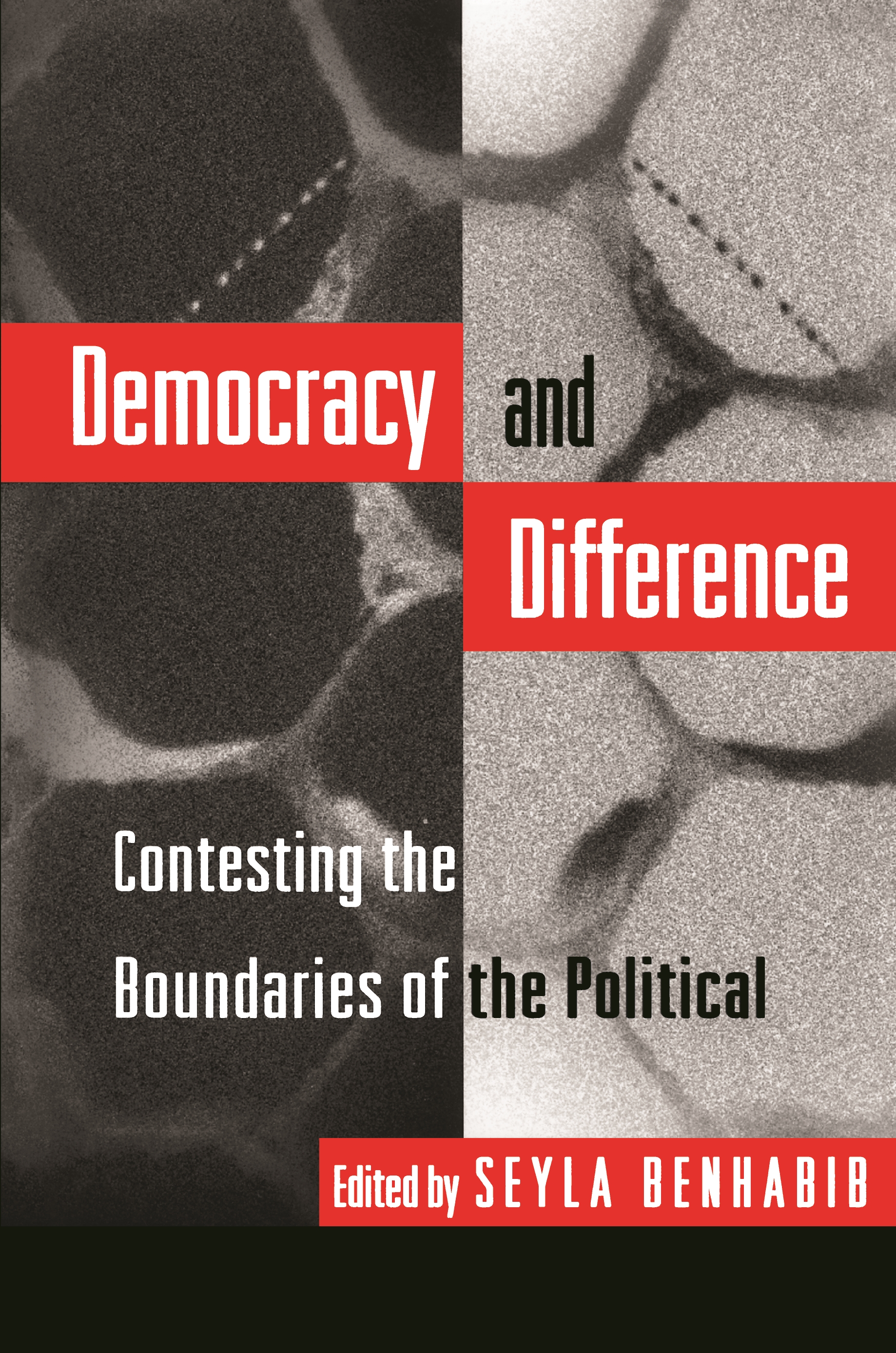 Democracy and Difference - 25-49.99