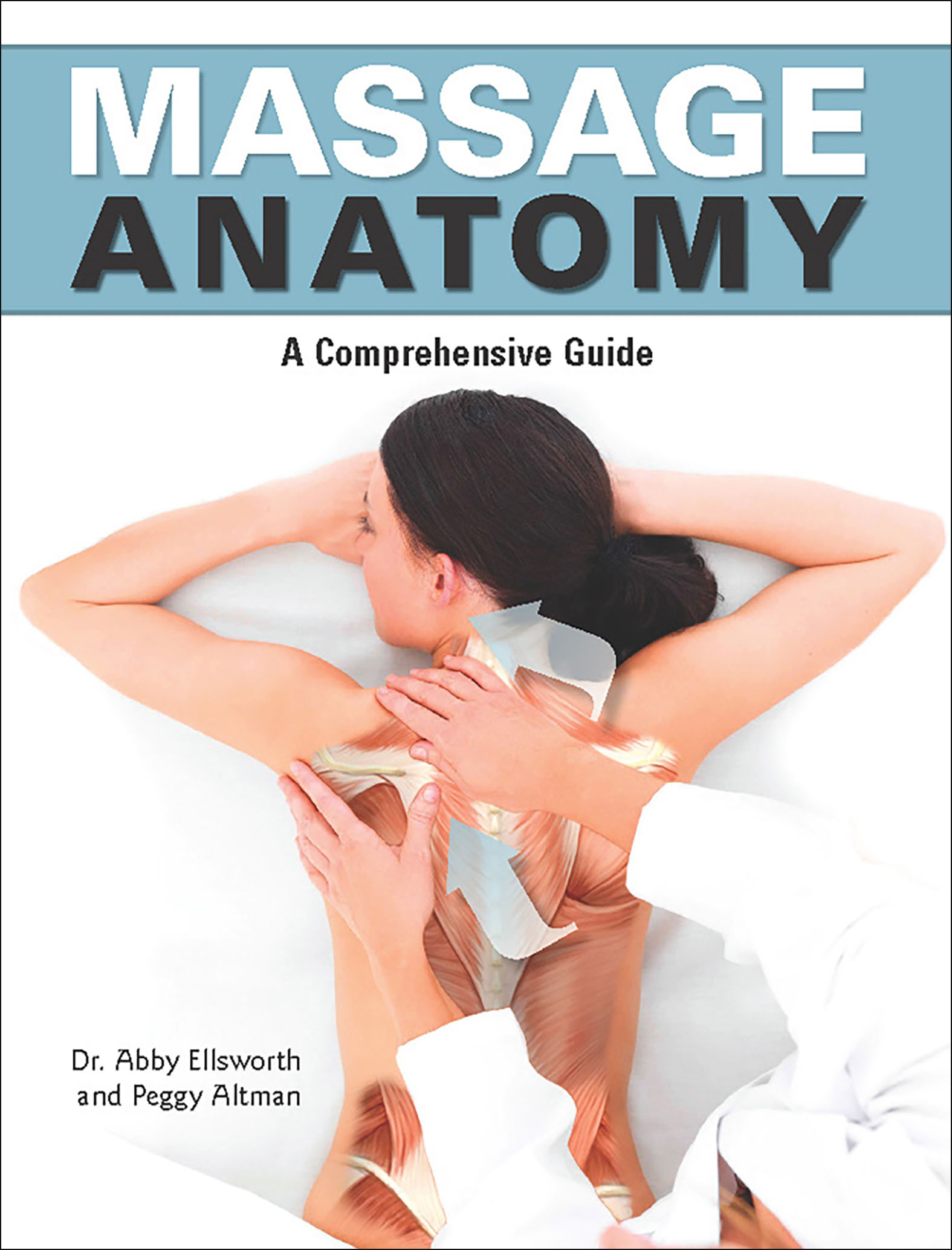 Massage Anatomy - <5